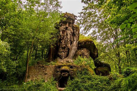 algemene foto mondo verde
